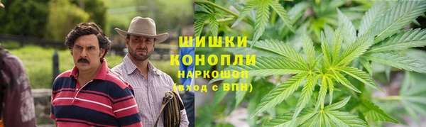 PSILOCYBIN Остров