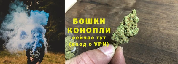 амф Осташков
