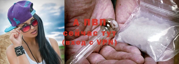 PSILOCYBIN Остров