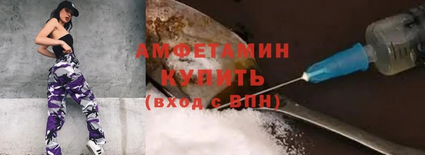 амф Осташков