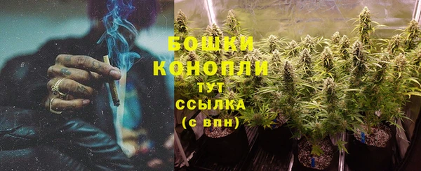 первитин Осинники