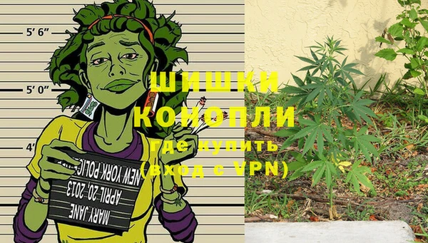 PSILOCYBIN Остров