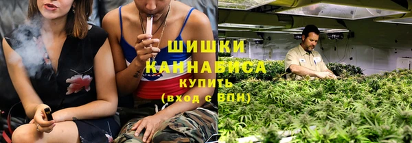 PSILOCYBIN Остров