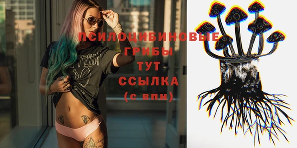 амф Осташков